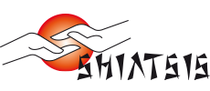 Shiatsis Lichaamsgerichte therapie